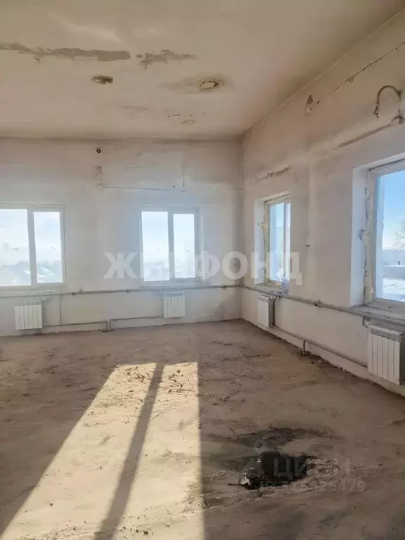 Помещение свободного назначения в Новосибирская область, Новосибирск ... - Фото 0