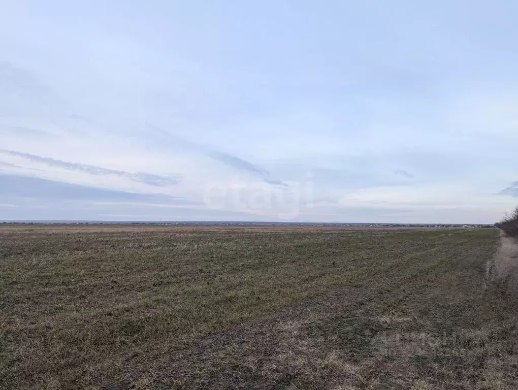 Участок в Крым, Черноморский район, Оленевское с/пос, с. Оленевка  ... - Фото 1