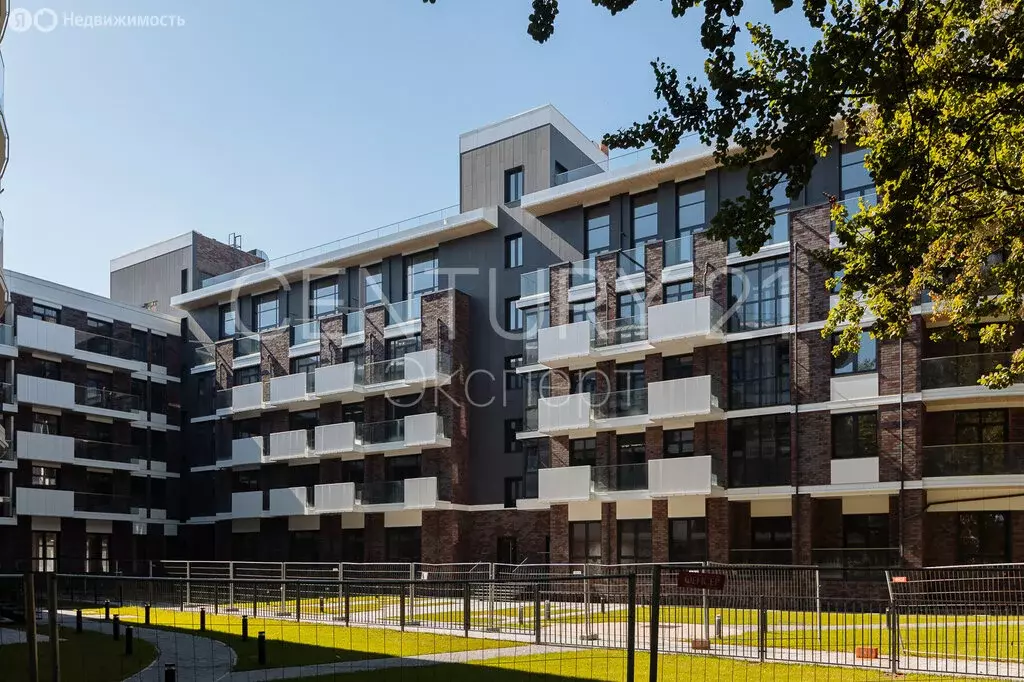 1-комнатная квартира: Светлогорск, улица Верещагина, 10 (66 м) - Фото 2