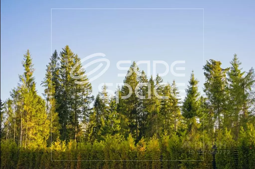 Участок в Московская область, Клин городской округ, д. Поджигородово ... - Фото 2