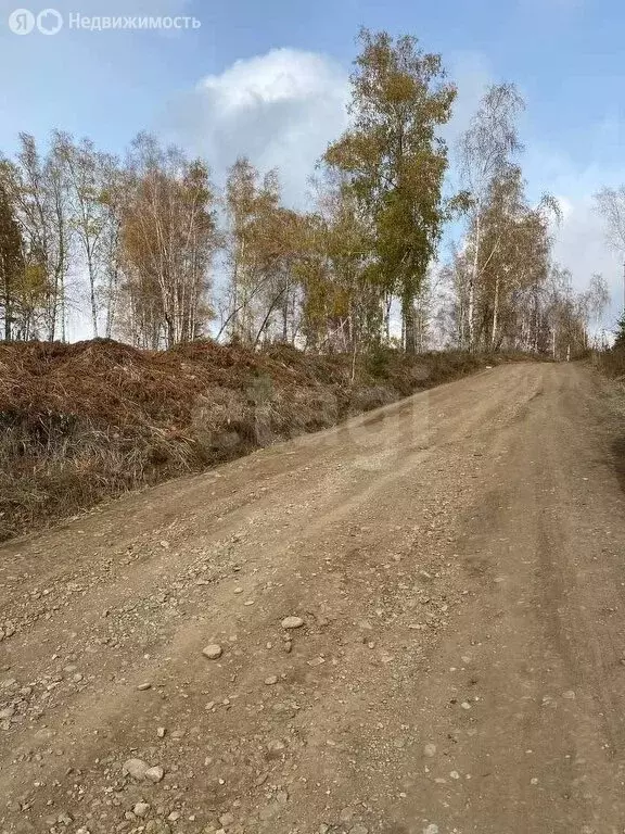 Участок в Маркова, ТСН Птица, Горная улица (12.51 м) - Фото 1