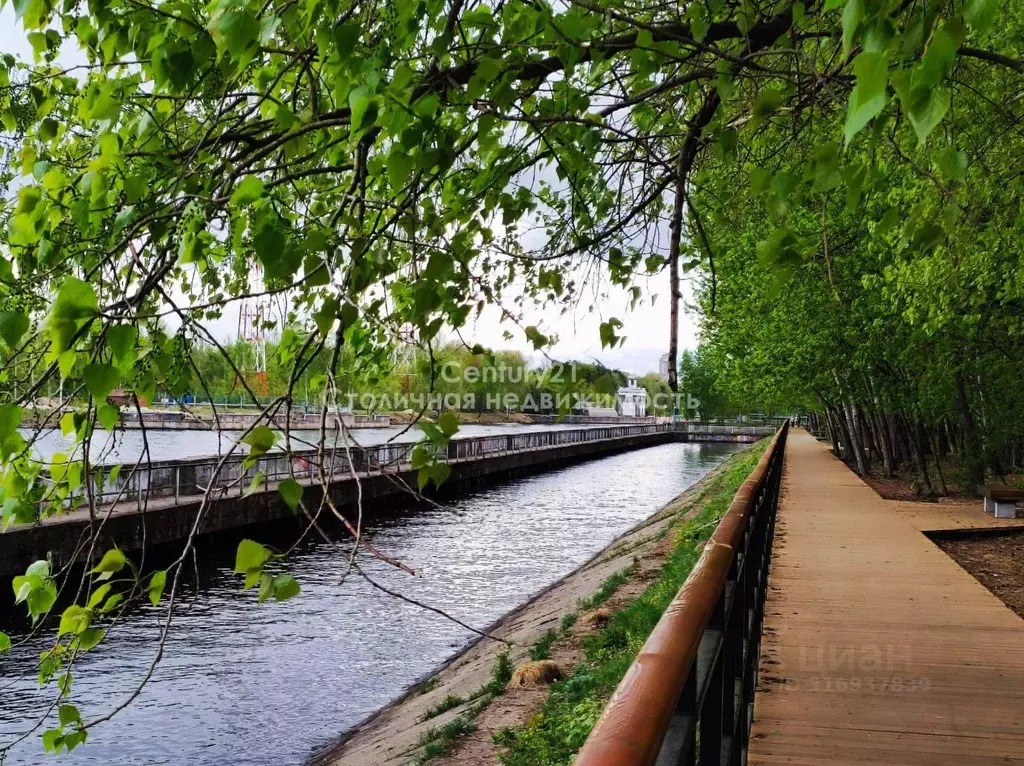 3-к кв. Москва Лодочная ул., 31К4 (50.4 м) - Фото 1