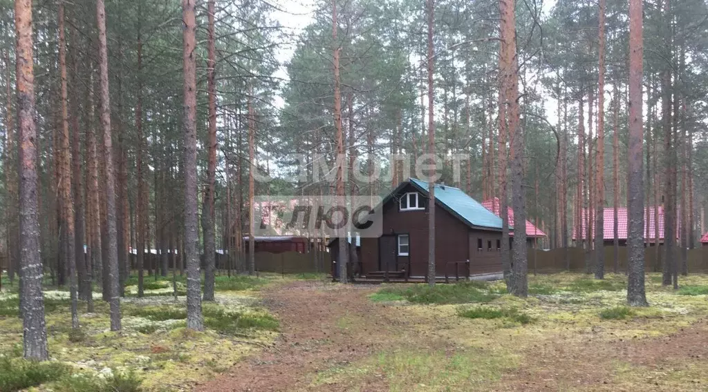 Дом в Вологодская область, Усть-Кубинский муниципальный округ, ... - Фото 2