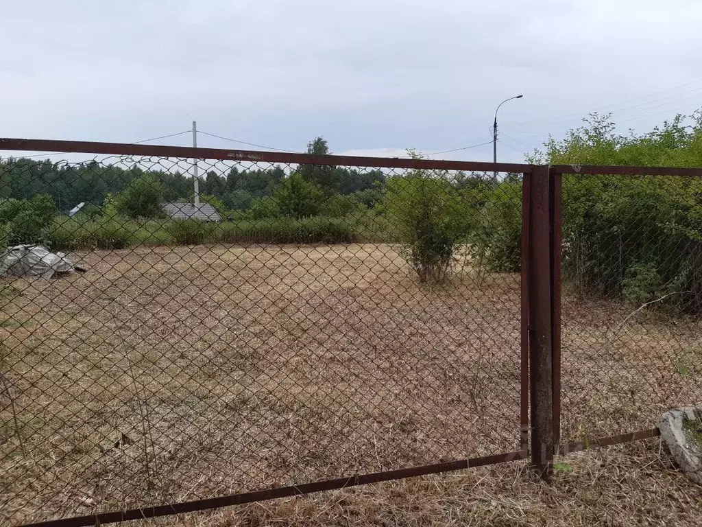 Участок в Нижегородская область, Володарский муниципальный округ, ... - Фото 1