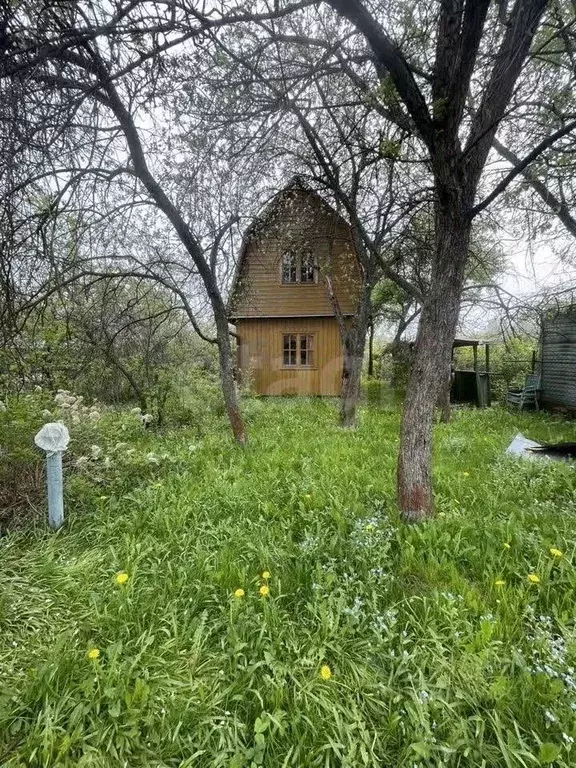 Участок в Московская область, Мытищи городской округ, д. Осташково, ... - Фото 2