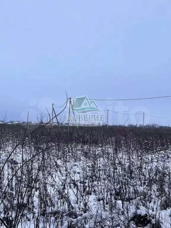 Участок 10 сот. (ИЖС) - Фото 0
