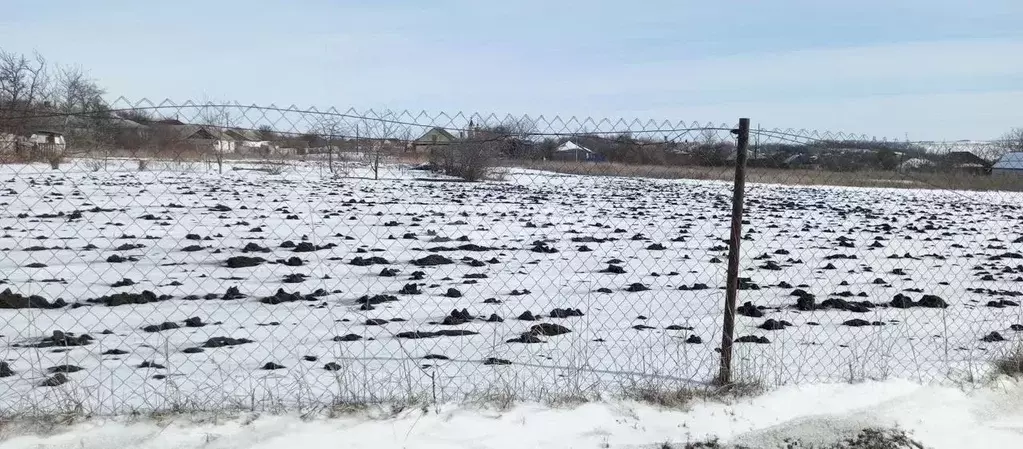 Участок в Белгородская область, Алексеевский городской округ, с. ... - Фото 1