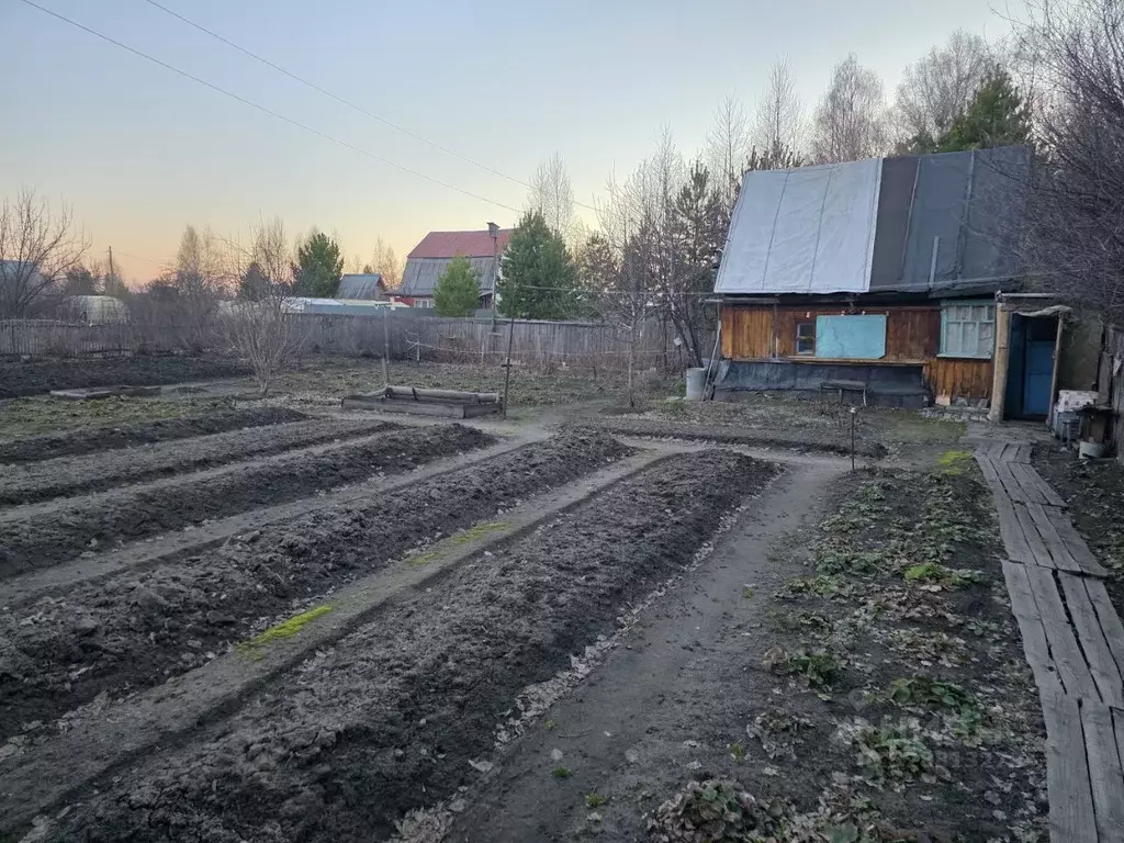 Дом в Курганская область, Кетовский муниципальный округ, д. Патронная, ... - Фото 2