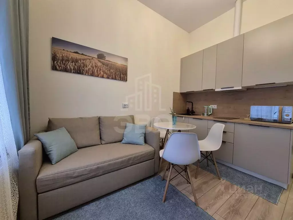 Студия Ленинградская область, Гатчинский муниципальный округ, д. Малое ... - Фото 1