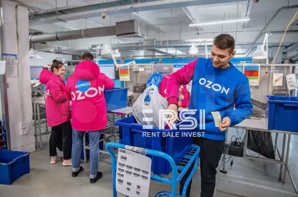Купить ПСН Озон Фреш окупаемость 9 лет продукты - Фото 0