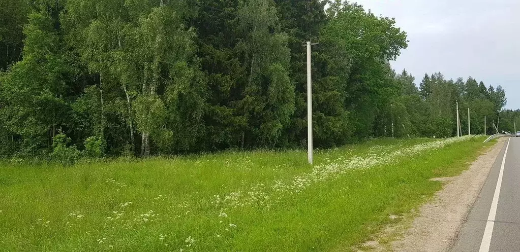 Участок в Московская область, Дмитровский муниципальный округ, д. ... - Фото 0