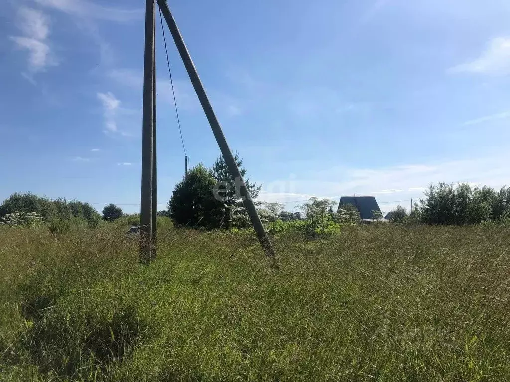 Участок в Вологодская область, Череповецкий район, Яргомжское с/пос, ... - Фото 1