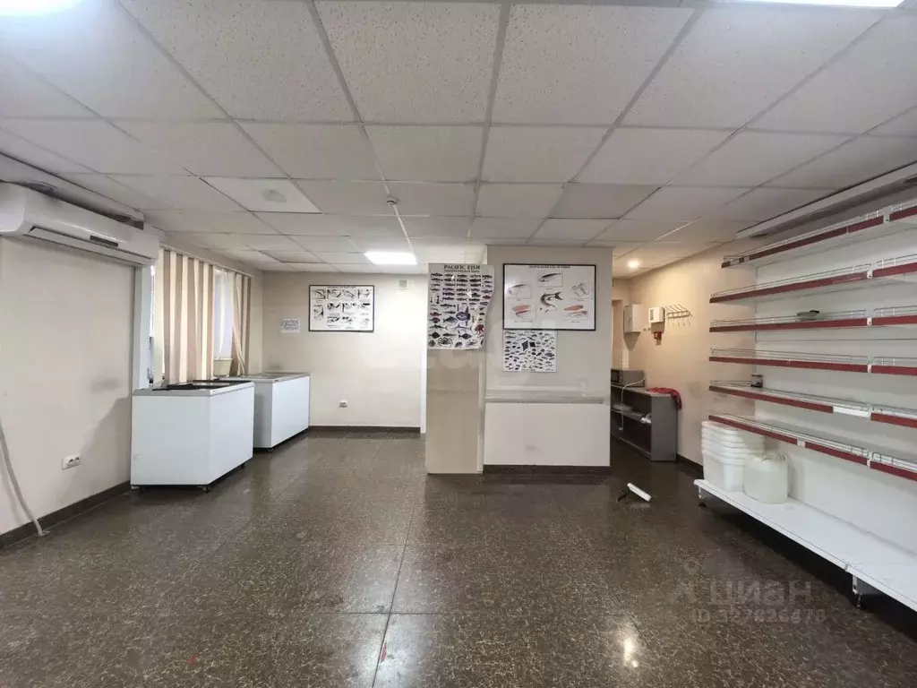 Торговая площадь в Камчатский край, Вилючинск Кронштадтская ул., 2 (32 ... - Фото 2