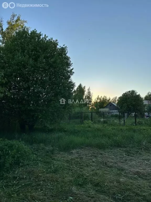 Участок в Нижегородская область, Богородский муниципальный округ, село ... - Фото 1