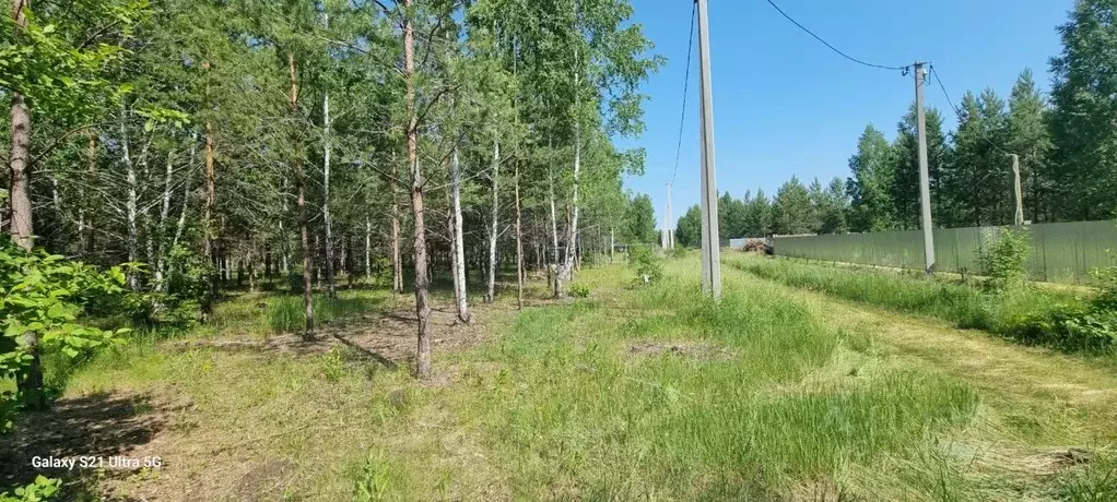 Участок в Курганская область, Кетовский муниципальный округ, с. ... - Фото 0