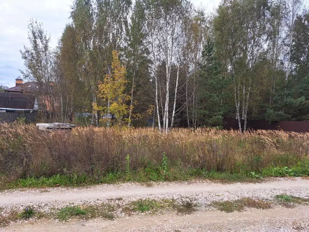 Участок в Московская область, Орехово-Зуевский городской округ, д. ... - Фото 2