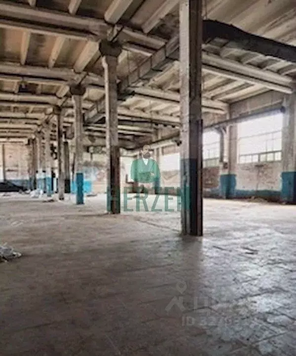 Производственное помещение в Московская область, Рузский муниципальный ... - Фото 2