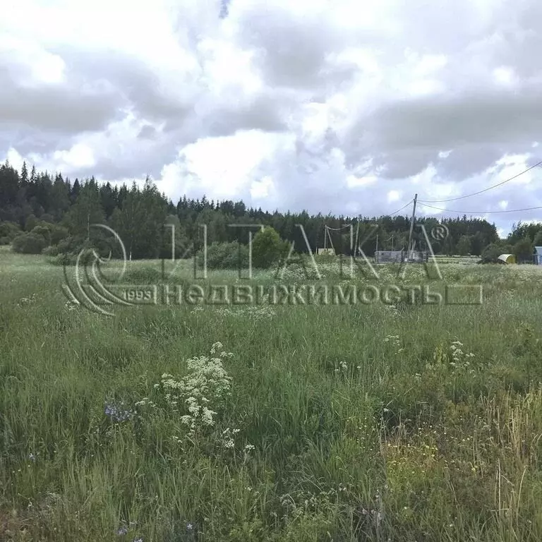 Участок в Выборгский район, Селезнёвское сельское поселение, посёлок ... - Фото 1