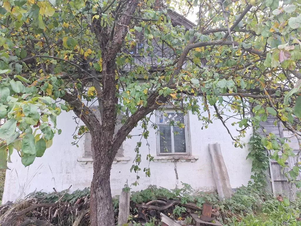 Дом в Чувашия, Мариинский Посад ул. Копылова, 1 (65 м) - Фото 2