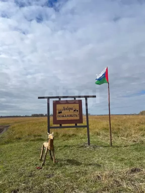 Участок в Тюменская область, Исетский муниципальный округ, с. ... - Фото 2
