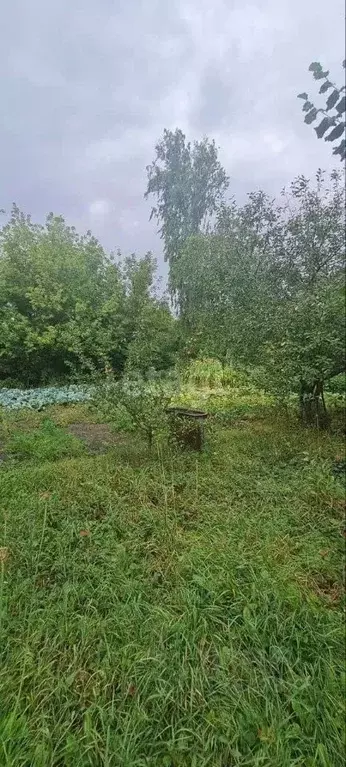 Дом в Белгородская область, Новооскольский муниципальный округ, ... - Фото 0