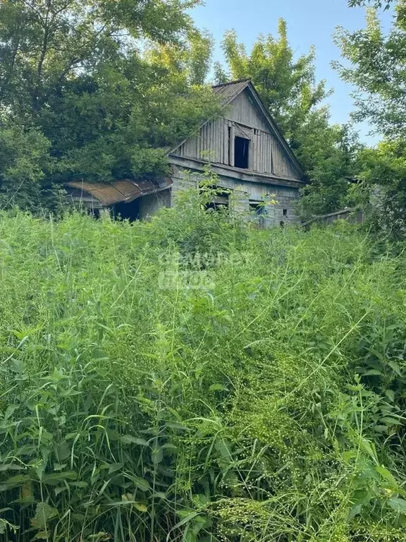 Дом в Курская область, Золотухинский район, Донской сельсовет, д. ... - Фото 1
