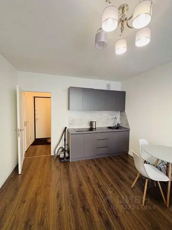 Студия Санкт-Петербург просп. Большевиков, 68к1 (23.3 м) - Фото 2