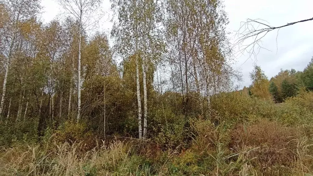Участок в Московская область, Шатура  (6.0 сот.) - Фото 0