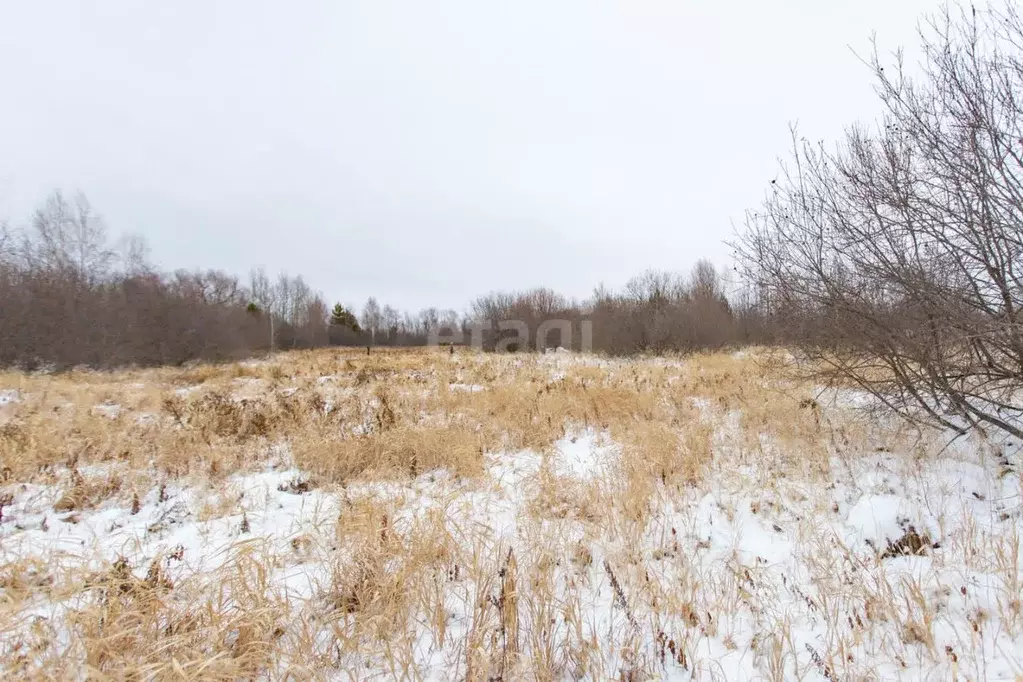 Участок в Тюменская область, Тобольск городской округ, пос. Сумкино ... - Фото 0