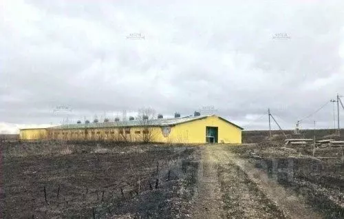 Помещение свободного назначения в Калужская область, Мещовск городское ... - Фото 0