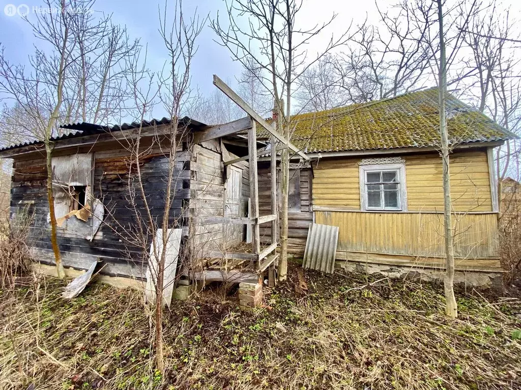 Дом в Псковская область, Гдовский муниципальный округ, деревня ... - Фото 2