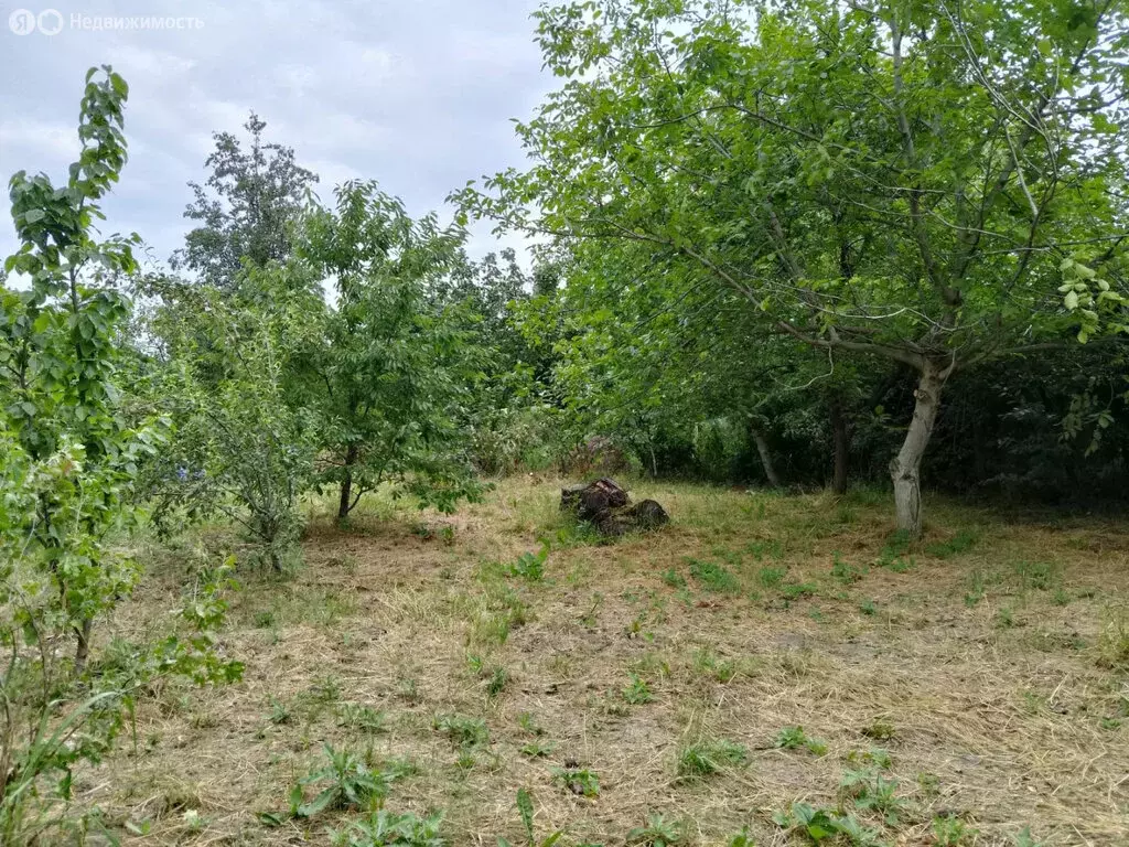 Участок в Красная Поляна, Баррикадная улица (10 м) - Фото 0