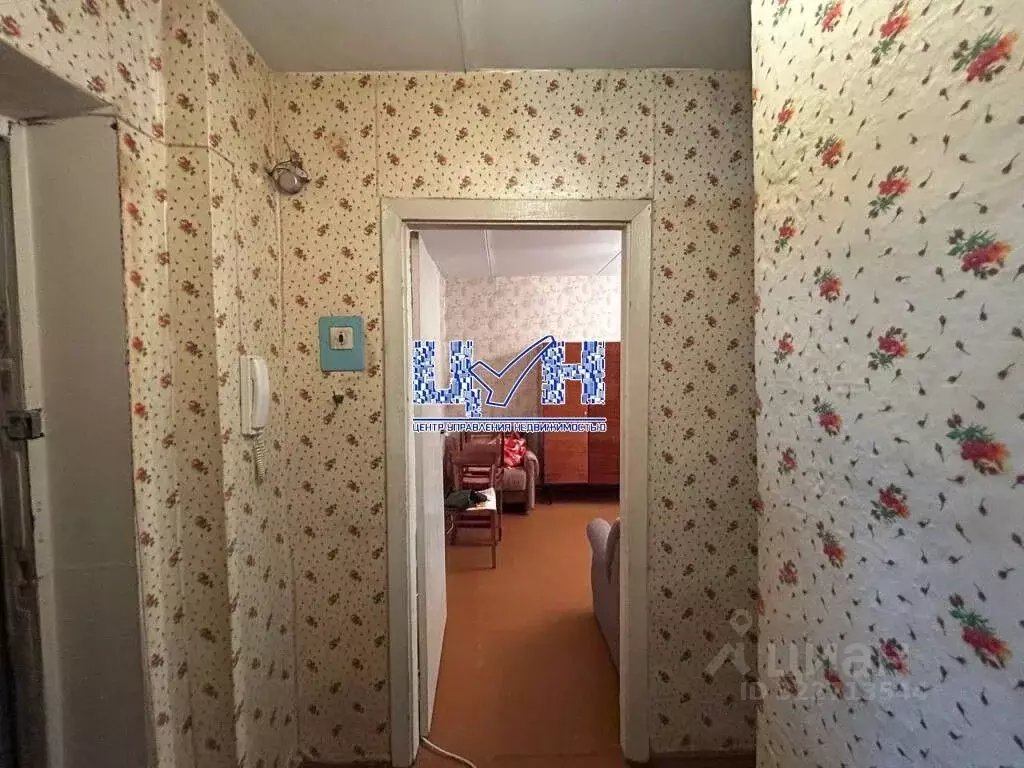 1-к кв. Курская область, Курск Светлый проезд, 4А (32.0 м) - Фото 2