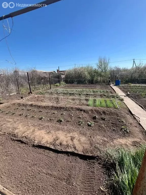 Участок в Благословенский сельсовет, СНТ Ивановские сады, 18-я линия ... - Фото 2