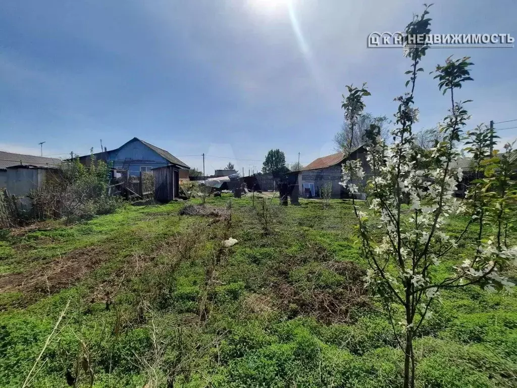 Дом в Оренбургская область, Оренбург Берды мкр, ул. Хлопуши (65 м) - Фото 0