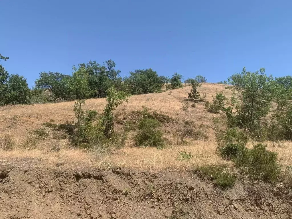 Участок в Крым, Алушта муниципальный округ, с. Приветное ул. Фросинлер ... - Фото 1