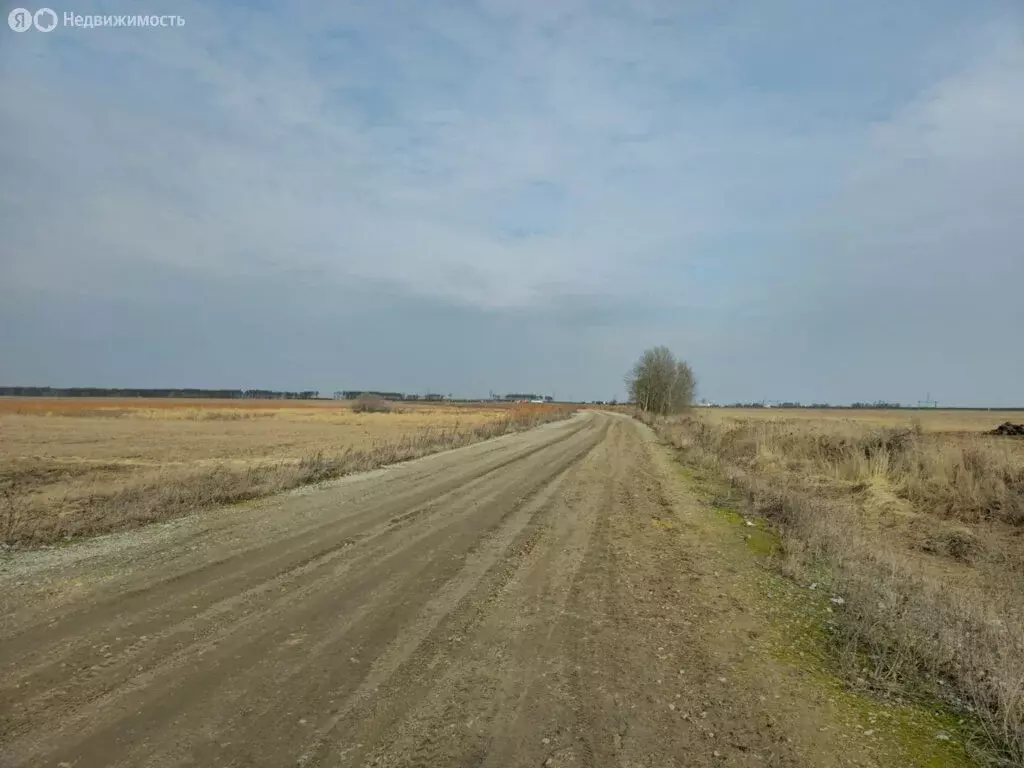 Участок в Московская область, городской округ Подольск, деревня ... - Фото 1