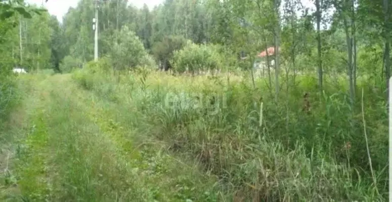 Участок в Московская область, Орехово-Зуевский городской округ, Родник ... - Фото 1