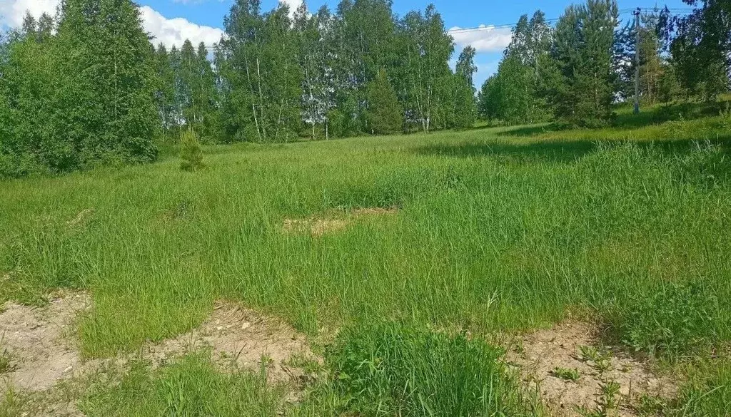 Участок в Московская область, Орехово-Зуевский городской округ, д. ... - Фото 1