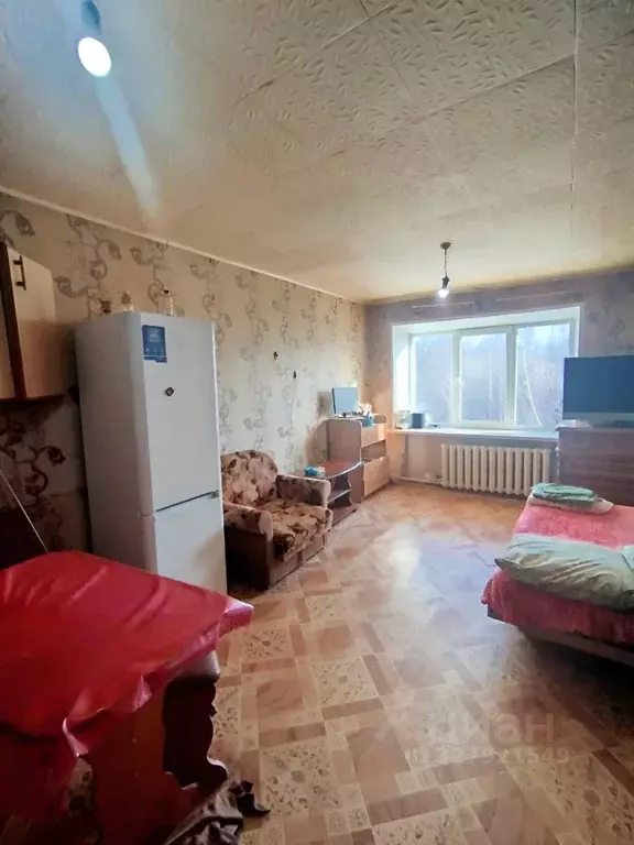 Комната Ивановская область, Кинешма ул. Веснина, 3 (19.2 м) - Фото 1