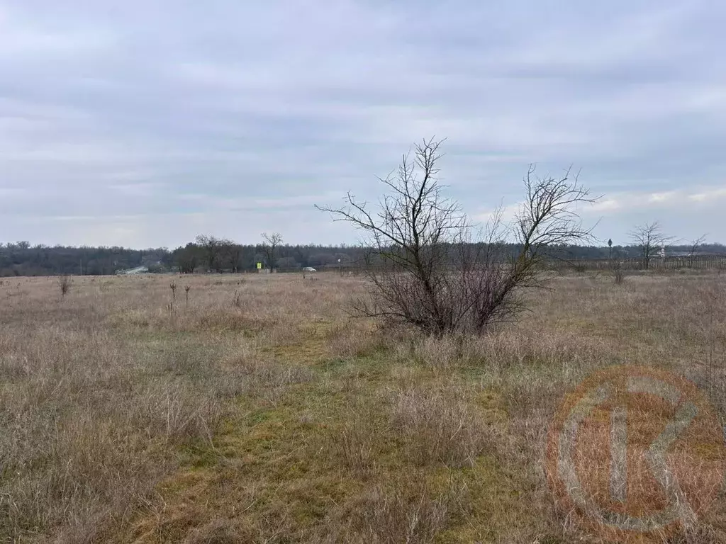 Участок в Крым, Сакский район, Ореховское с/пос, с. Чеботарка ул. ... - Фото 2