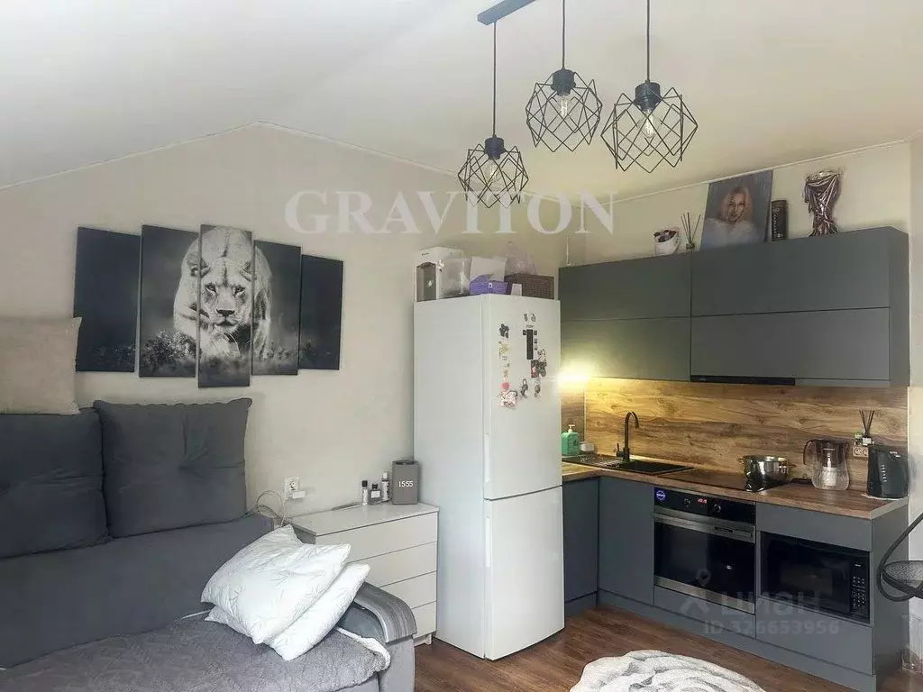 Студия Алтай, Майминский район, с. Майма ул. Березовая роща, 9к3 (30.0 ... - Фото 1