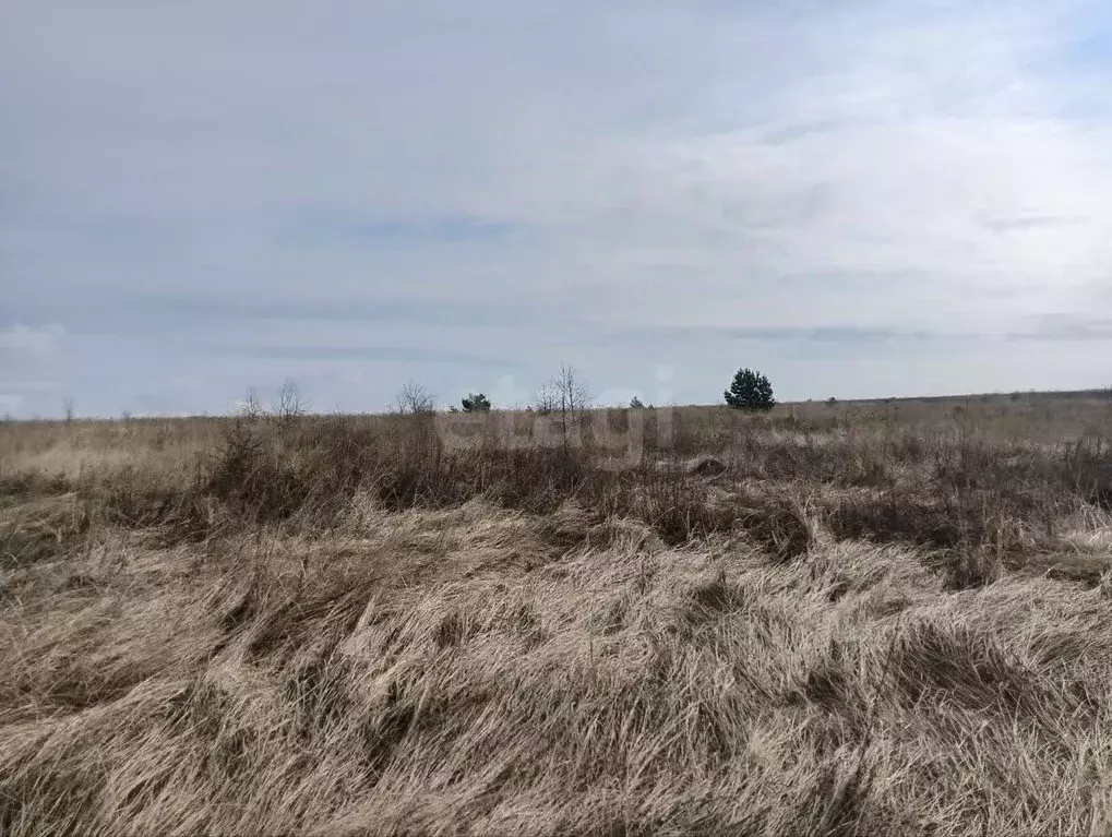 Участок в Курская область, Курский район, Моковский сельсовет, д. ... - Фото 2