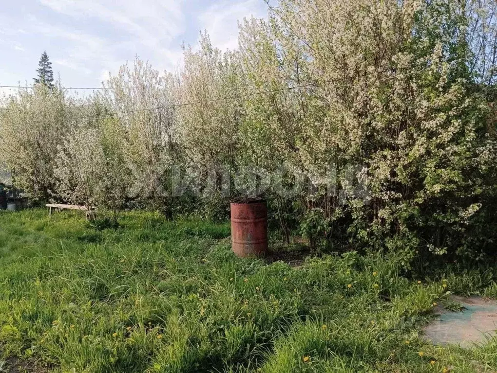 Дом в Новосибирская область, Новосибирск Пойменная ул. (80 м) - Фото 1