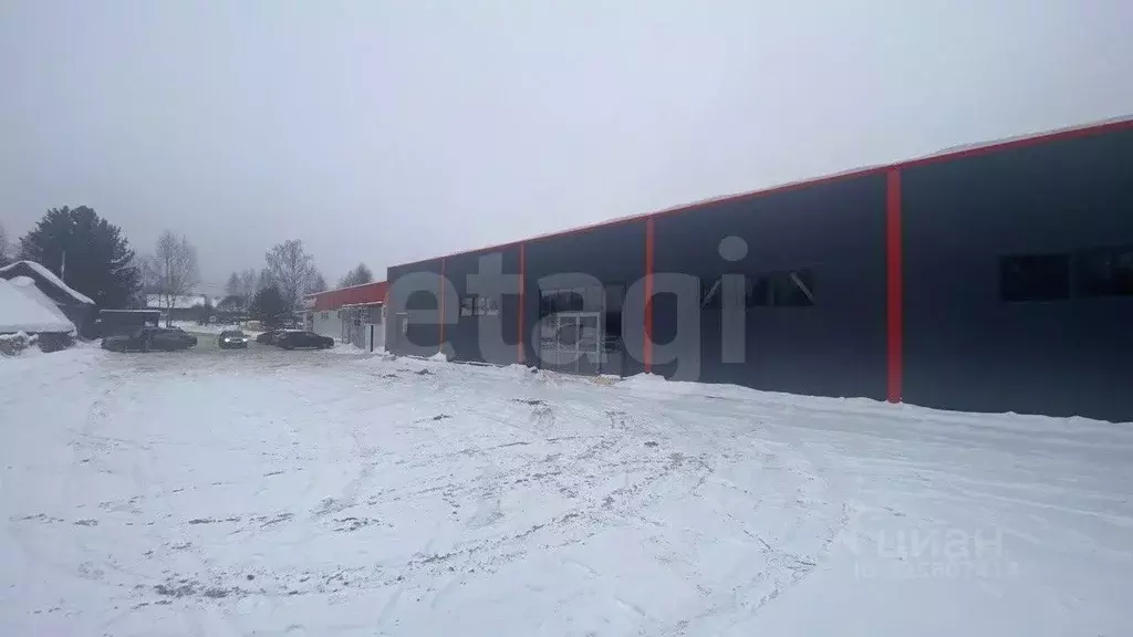 Помещение свободного назначения в Удмуртия, Завьяловский район, д. ... - Фото 1