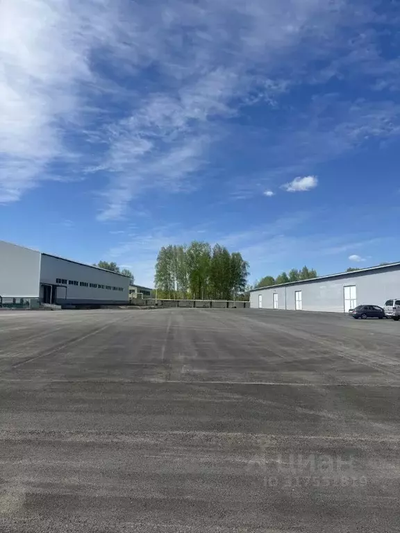 Помещение свободного назначения в Кемеровская область, Кемерово ул. ... - Фото 0