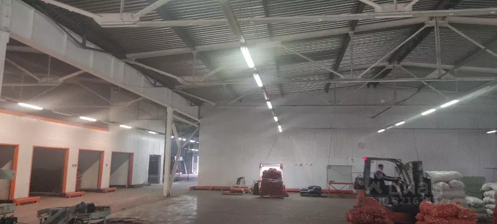 Помещение свободного назначения в Тульская область, Тула Мясново мкр,  ... - Фото 1