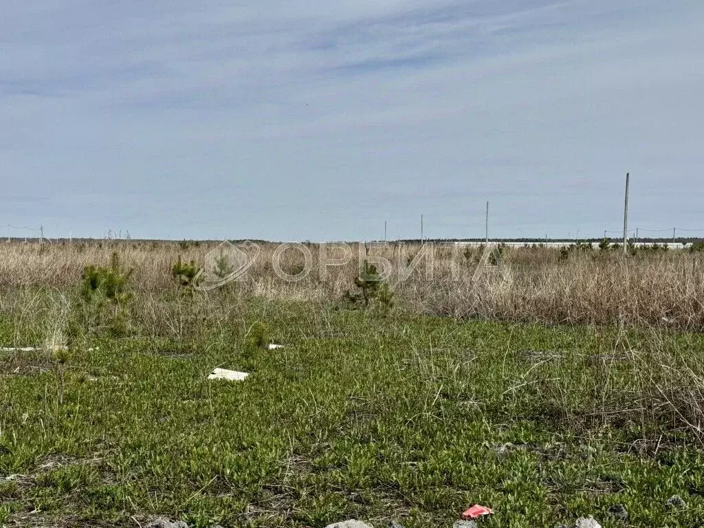 Участок в Тюменская область, Тюменский район, с. Кулига ул. ... - Фото 1