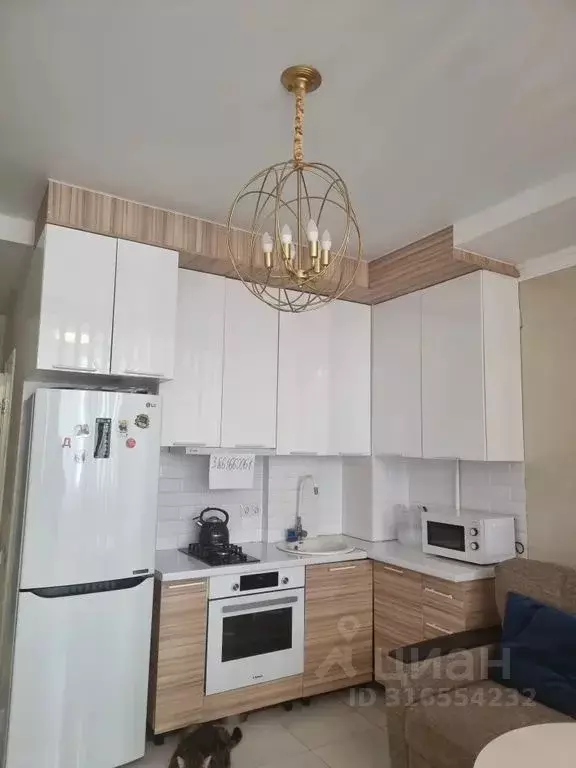 Студия Краснодарский край, Сочи Виноградная ул., 121/11 (30.0 м) - Фото 0