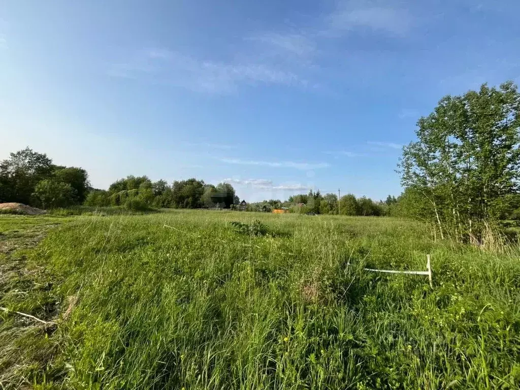 Участок в Вологодская область, д. Княгинино (Подлесный сельсовет)  ... - Фото 2